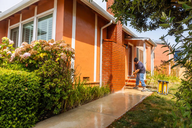 Best Local Pressure Washing Services  in Live Oak, TX