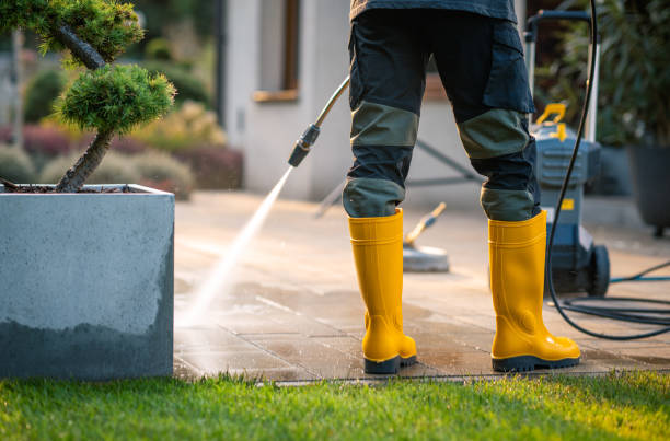  Live Oak, TX Pressure Washing Pros